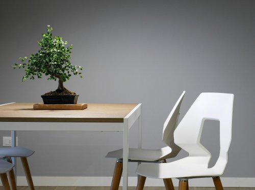 Style krzeseł – jakie są różnice między nimi?